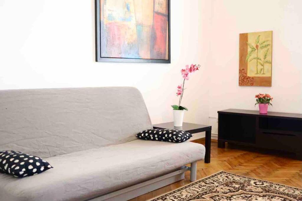 Soltyka 5 Rooms Apartment Krakau Exterior foto